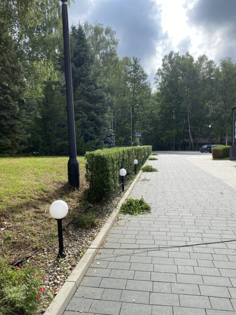 pielęgnacja ogrodu, przycinanie żywopłotu